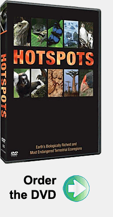 Hotspots DVD